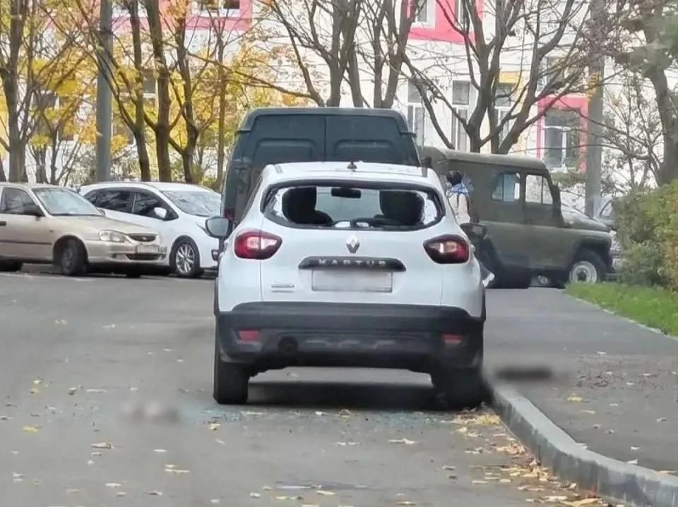 😱 В Ясеневе четыре кошки погибли, упав с 20‑го этажа