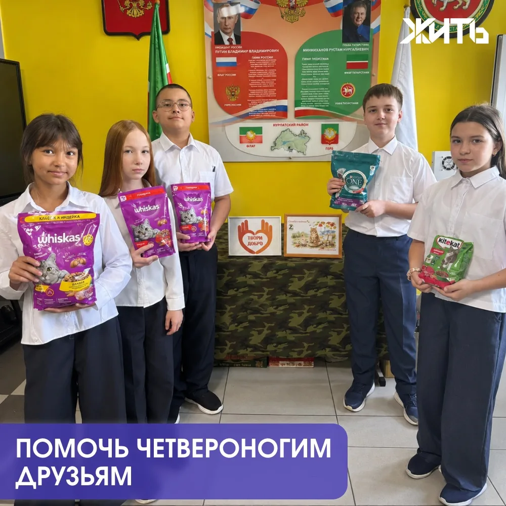 Школьник из Татарстана организовал сбор корма для кошек и собак, которые находятся вмес...