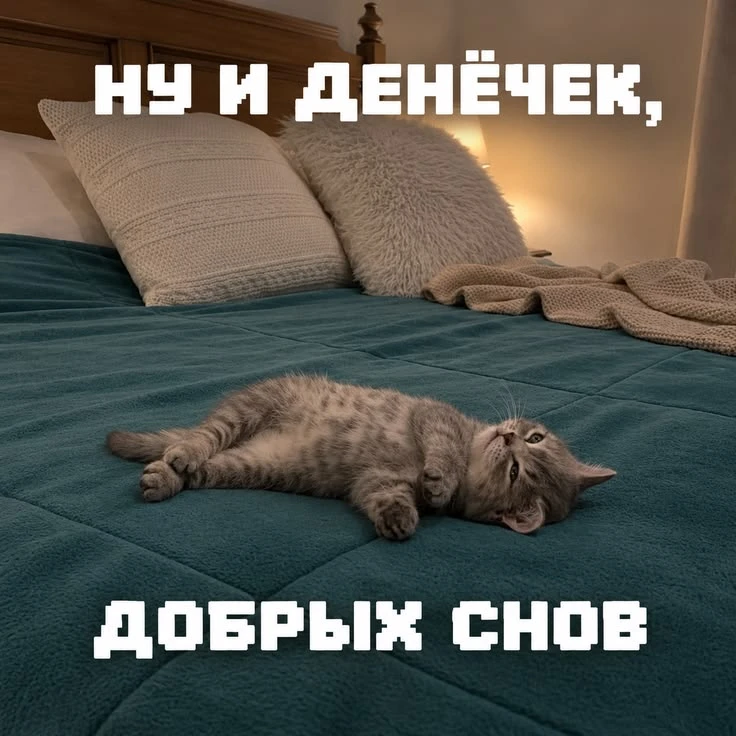 ❤️ Спокойной ночи! Кто ещё бодрствует?