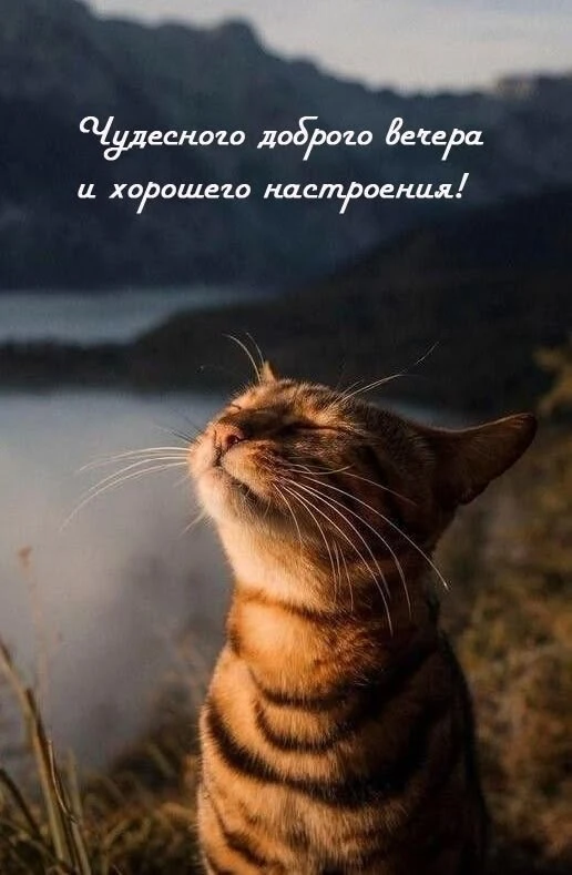 Поздравления на каждый день. Подписаться!