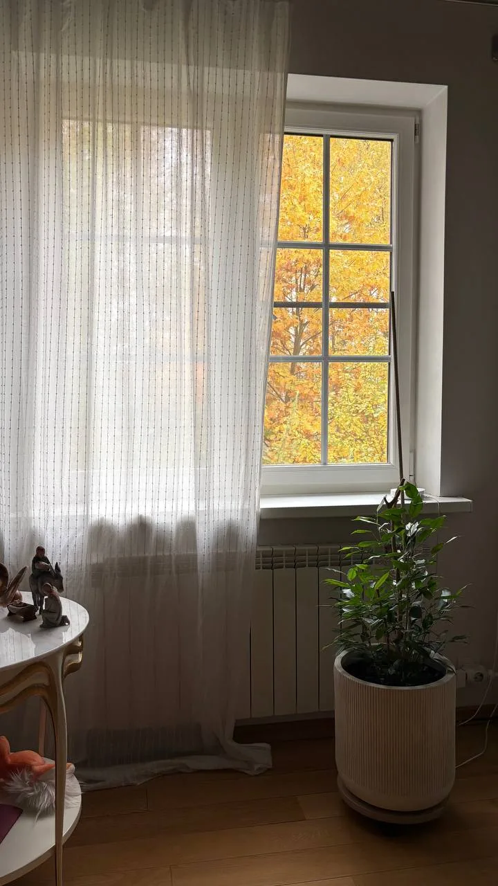 Зарисовка - осень 🍂🍁