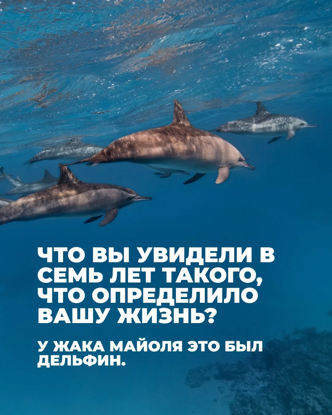 Человек, который нырнул на 101 метр, начинал не с силы лёгких.