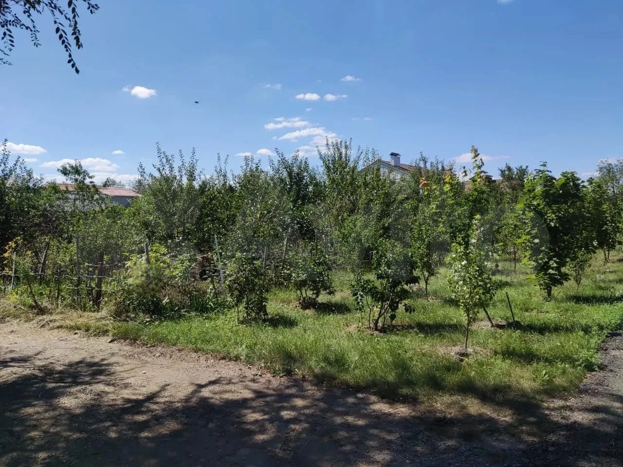 ‼️Продам участок 6 сот. ИЖС (приват. ), в спокойном районе. По адресу город Луганск ул....