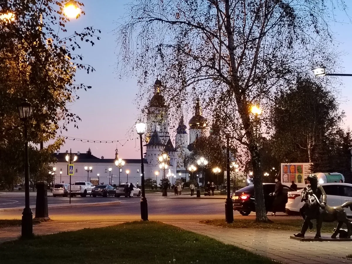 ✨ Ветви, огни, башни