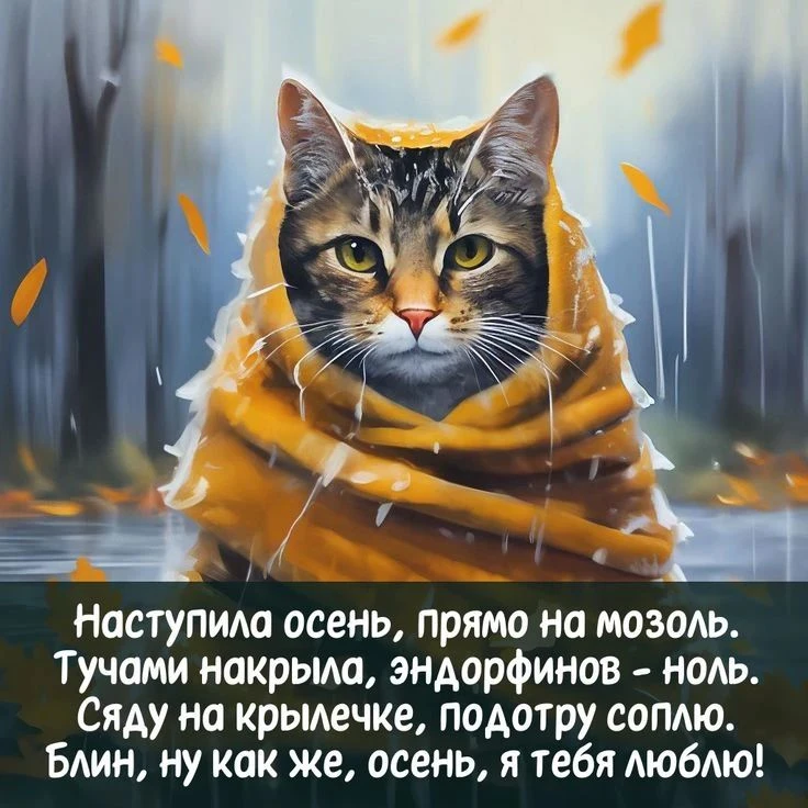 Доброе утро!