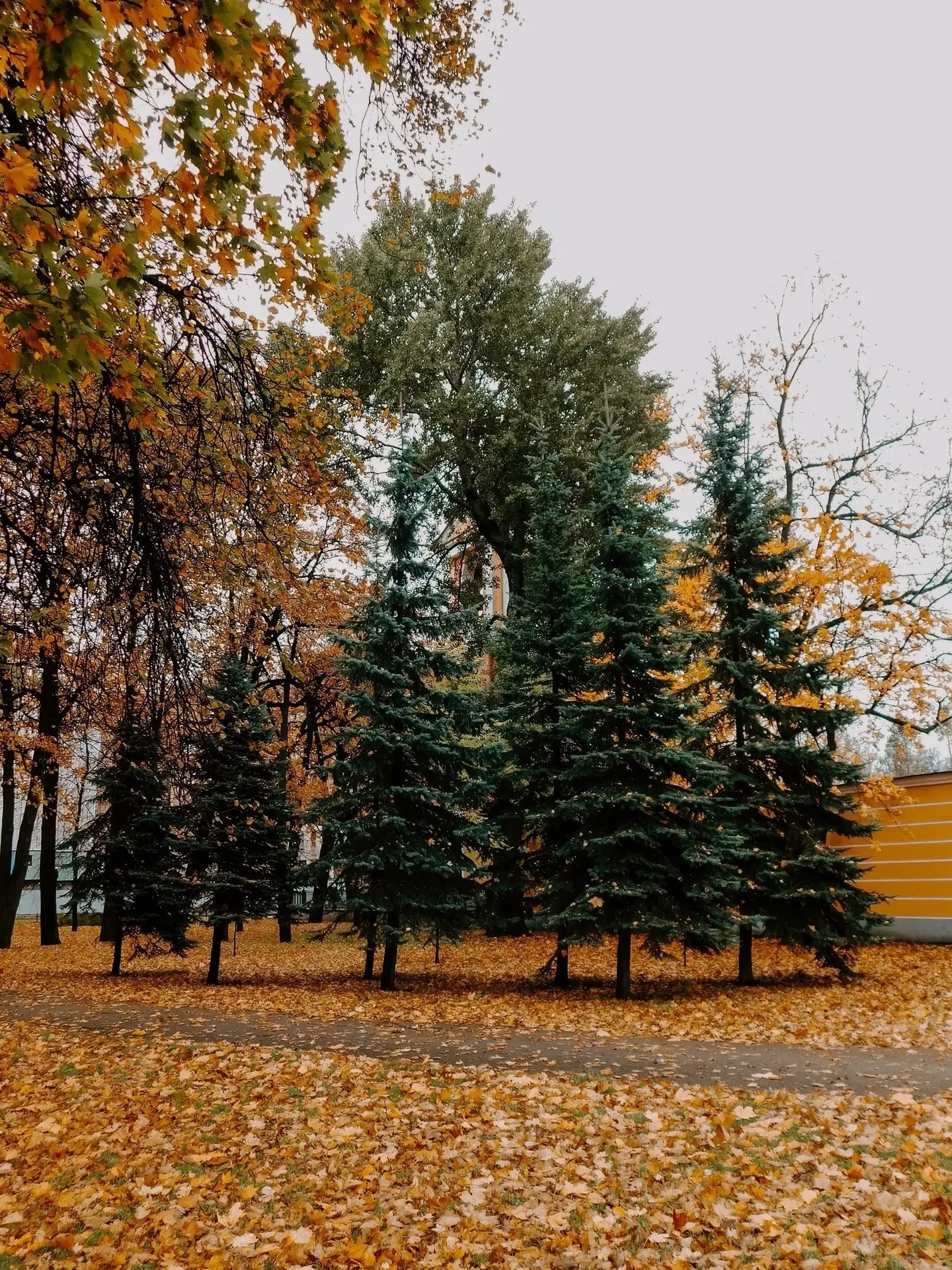 🌿 Заглянем в сквер имени В. Ф. Маргелова