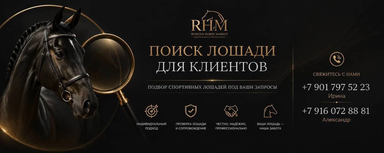 🐴 RHM ИЩЕТ СПОРТИВНЫХ ЛОШАДЕЙ