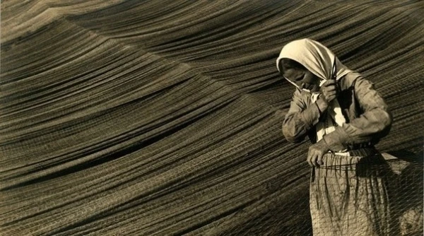 Починка сетей у Волги, 1934 год.👇