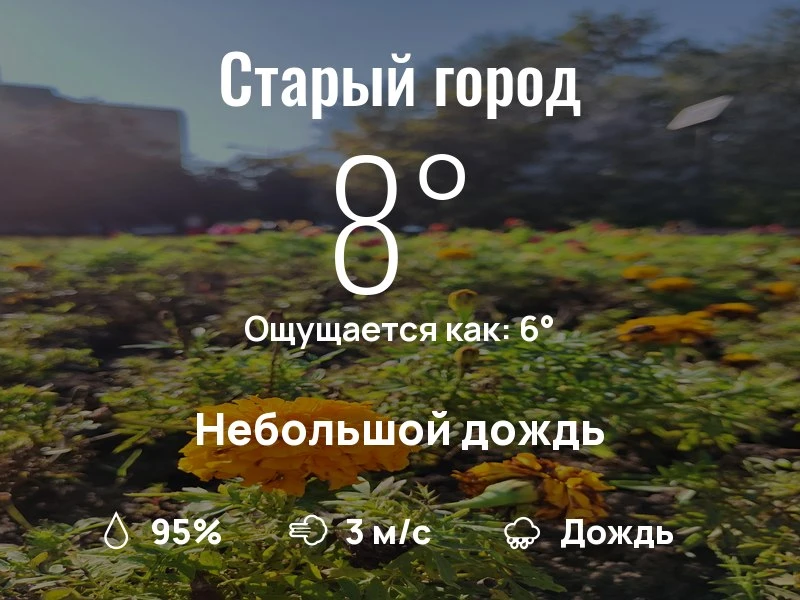 Что с погодой в Старом городе?