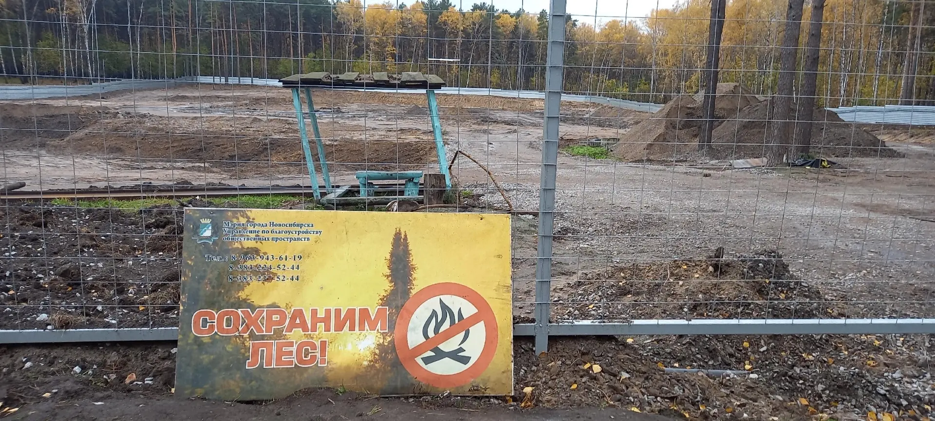 Скандал с вырубкой «Соснового бора». В Новосибирске застройка территории леса признана ...