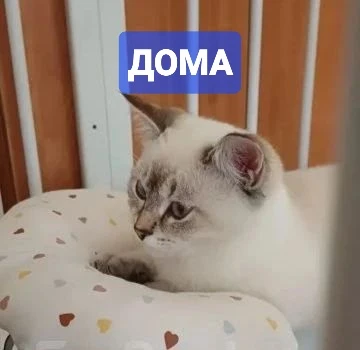 Владивосток.