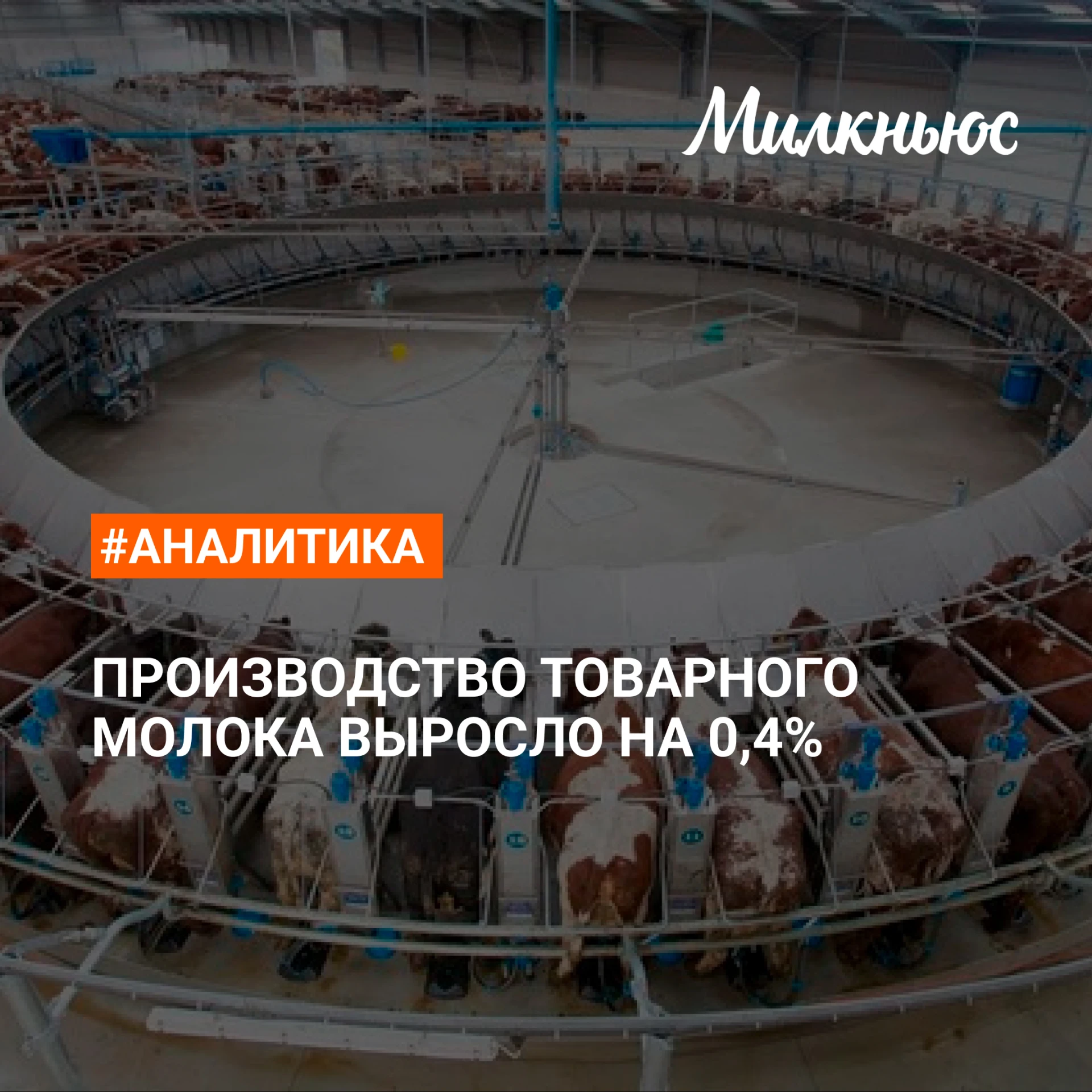 📈 Производство товарного молока выросло до 18,3 млн т в январе-августе 2026 года к ана...