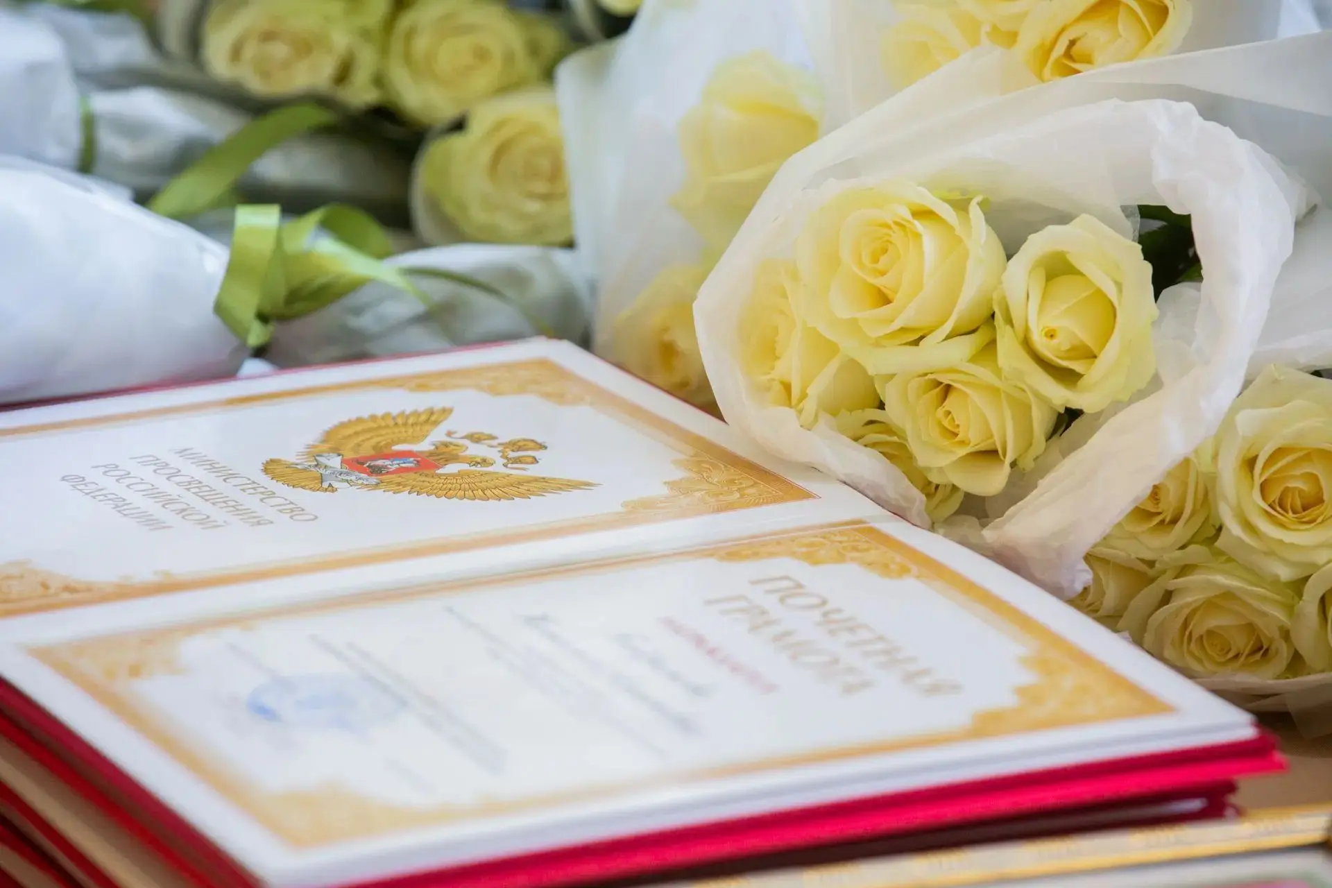 🎉 Гордость нашего детского сада! Высокая награда нашла своих героев!