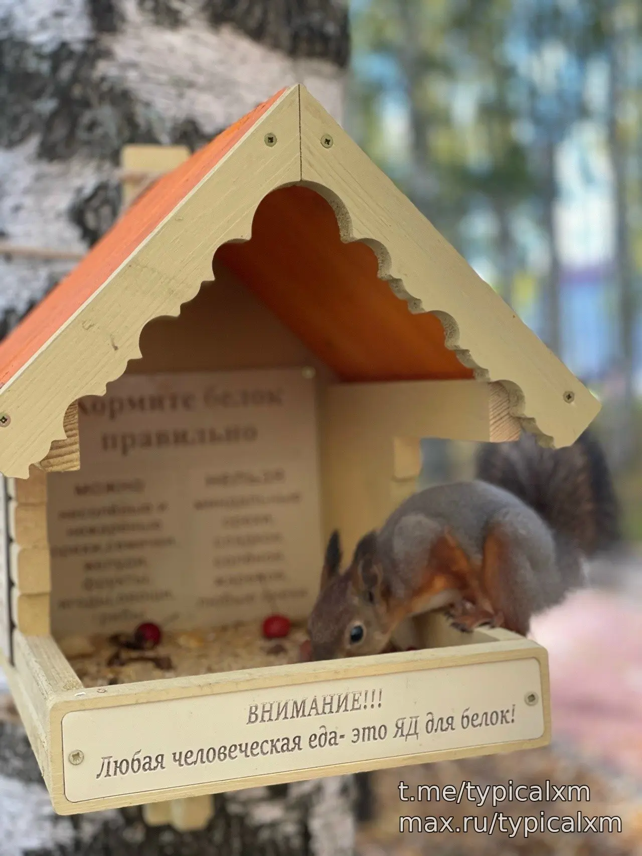 🐿️♥️