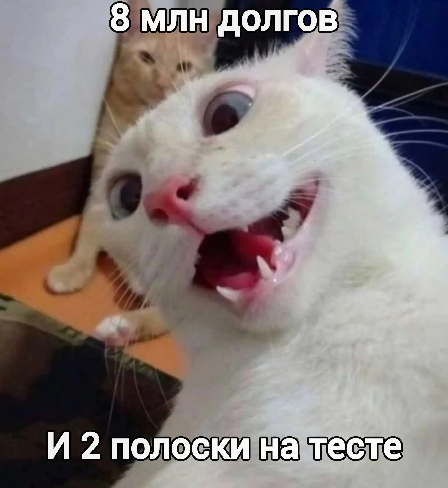 Тест показал две полоски, а в голове — только кредитный калькулятор 🤯