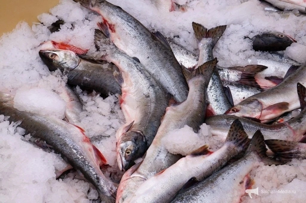 🐟 Свежую камбалу и сельдь по доступным ценам продают в Южно-Сахалинске 13 октября