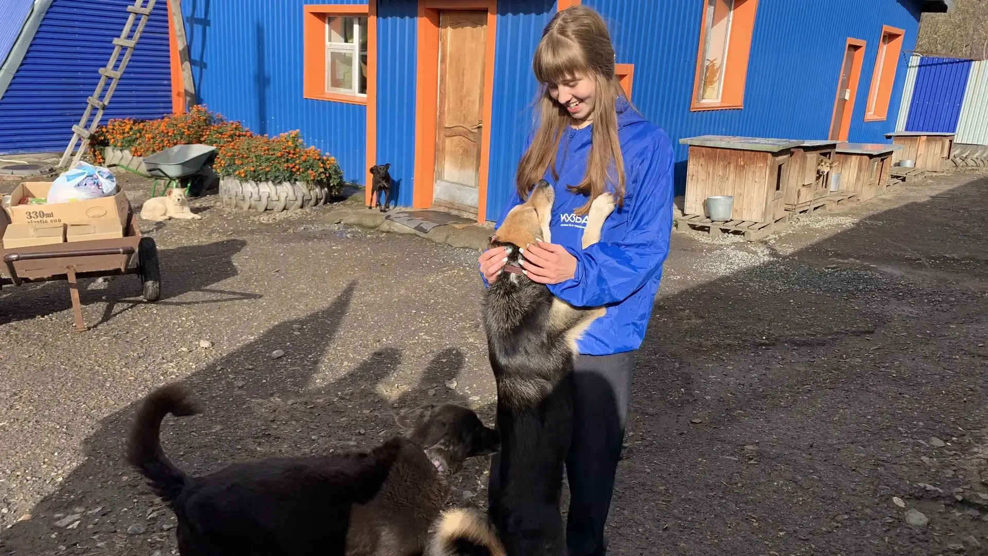 🐾Сердец много не бывает! ❤️