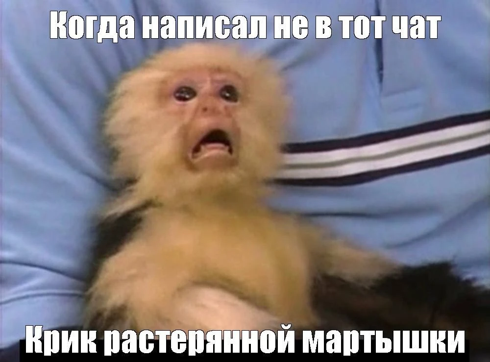 💭 ОТКРЫВАЕМ ДРАЙВ ЧАТ