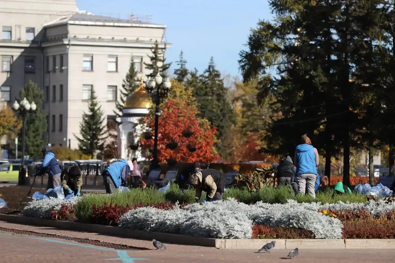🌿До новых цветочных встреч! В Иркутске завершают уборку однолетников с городских клумб.