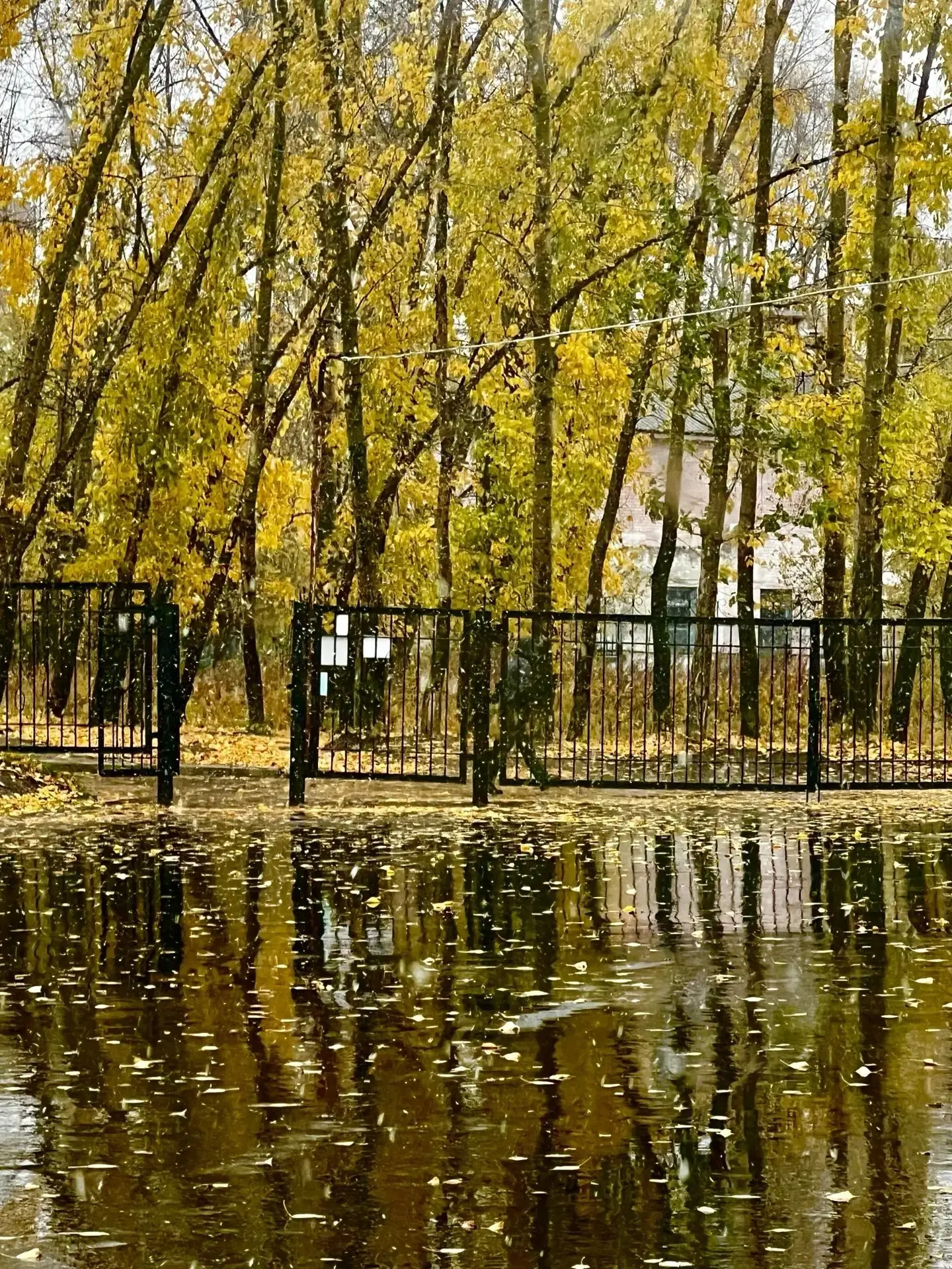 Второй этап конкурса "Фотокросс. Мой любимый Хабаровский край"