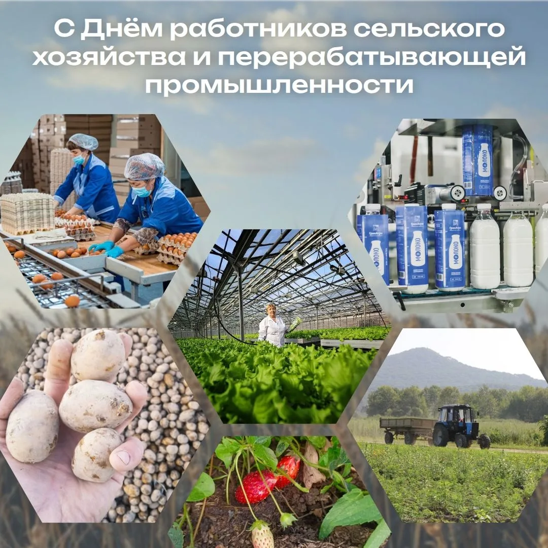Сегодня в России отмечают День работников сельского хозяйства и перерабатывающей промыш...