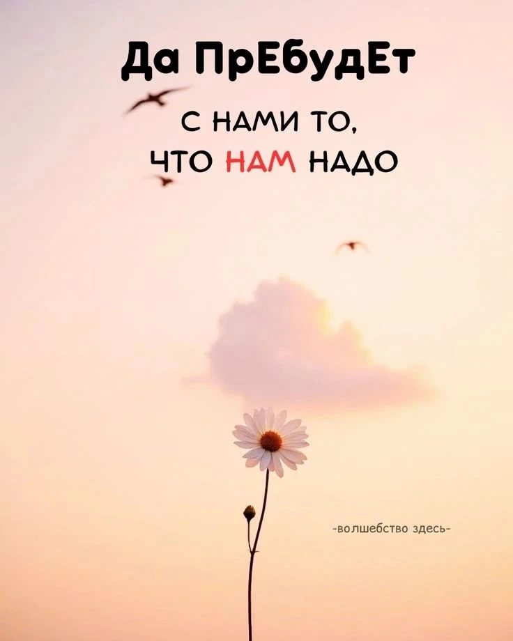 Знаете, где находится точка нашей силы?