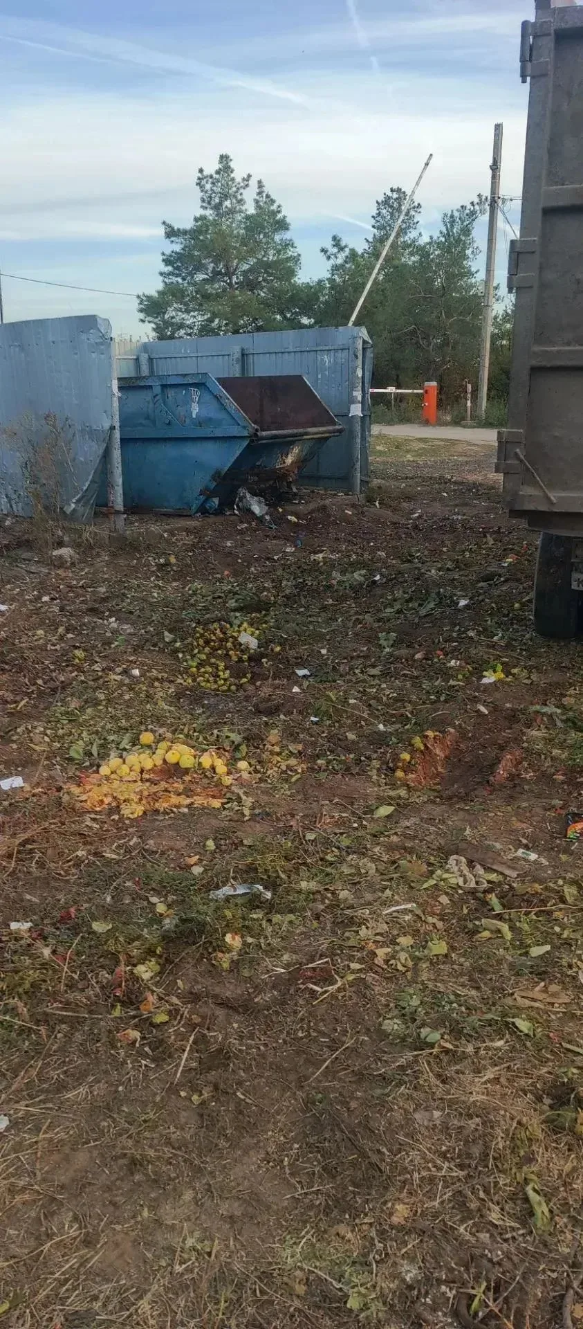 Уважаемые садоводы! 09.10.2026 г. -11.10.2026 г.🚛 Вывоз веток 🌿 мусора, отходов (подб...
