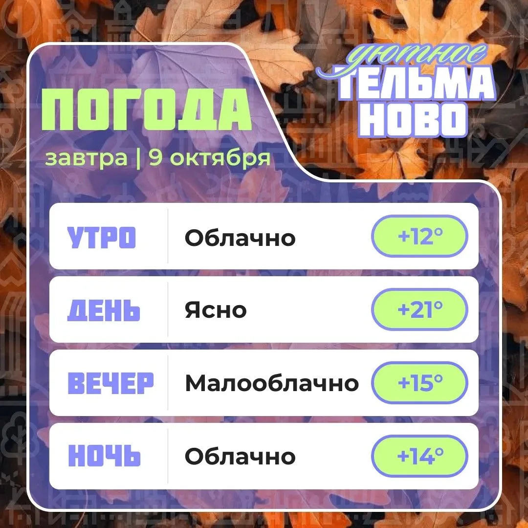 Ваш гид по погоде на завтра🌡