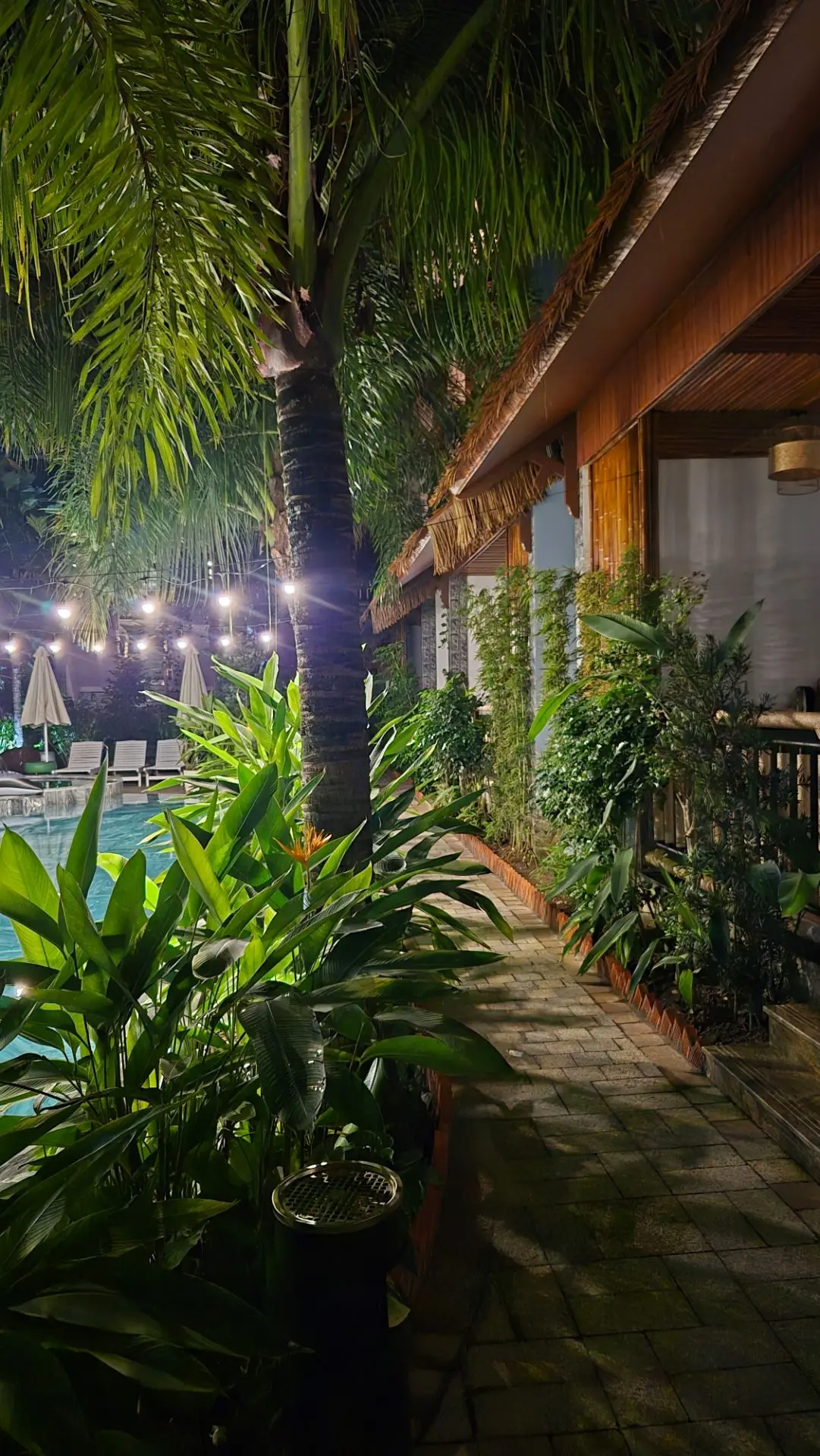 У нас всё по плану 🍻
