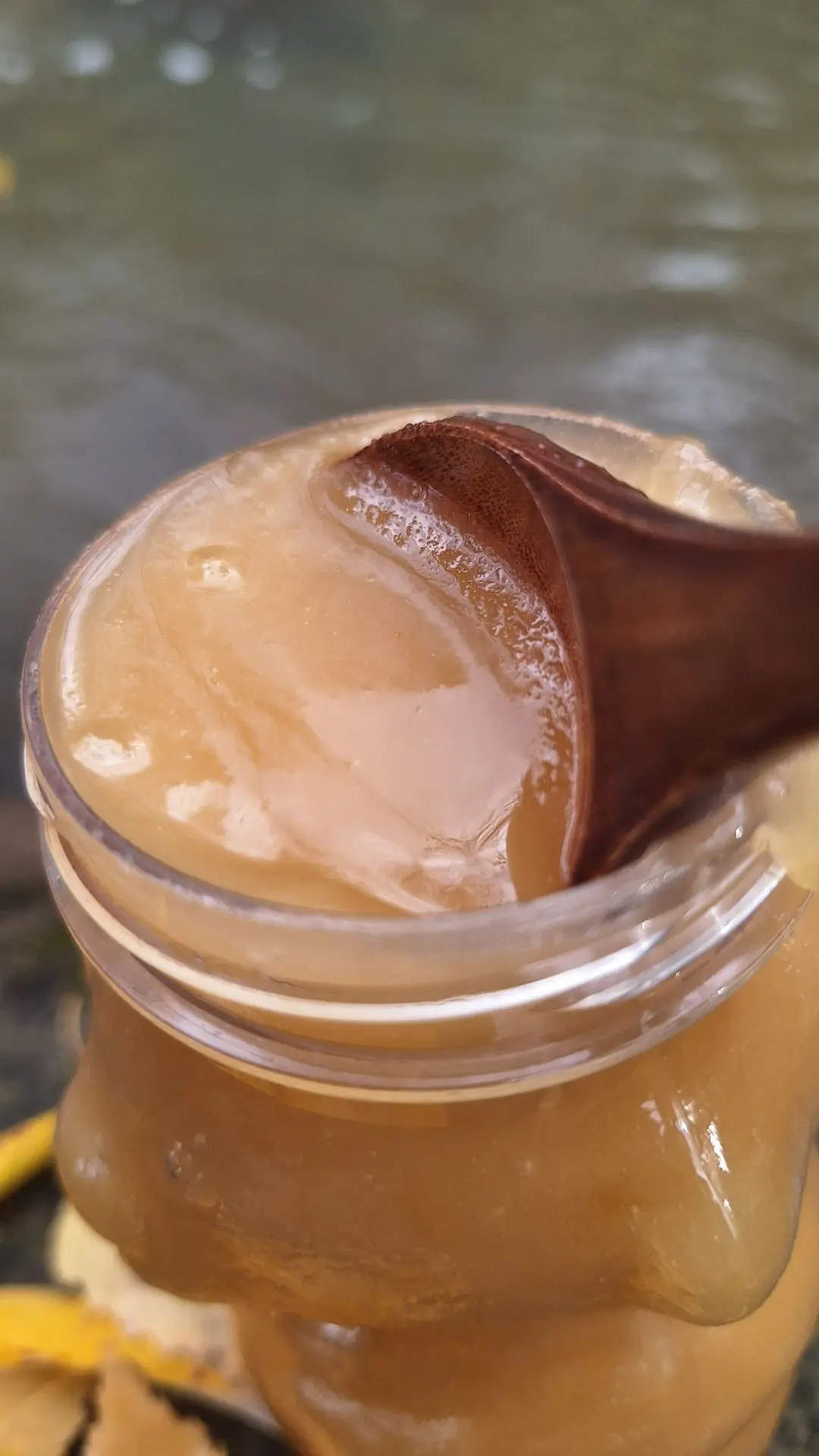 🍯 АЛТАЙСКИЙ ДОННИКОВЫЙ МЁД — ванильный аромат, собранный в предгорьях Алтая