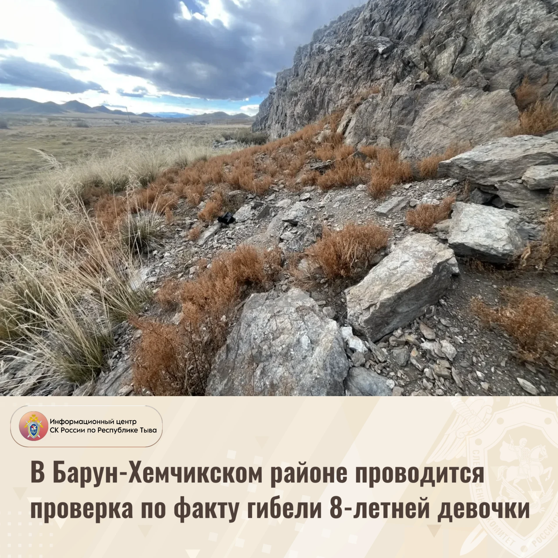 В  Барун-Хемчикском районе проводится проверка по факту гибели 8-летней девочки