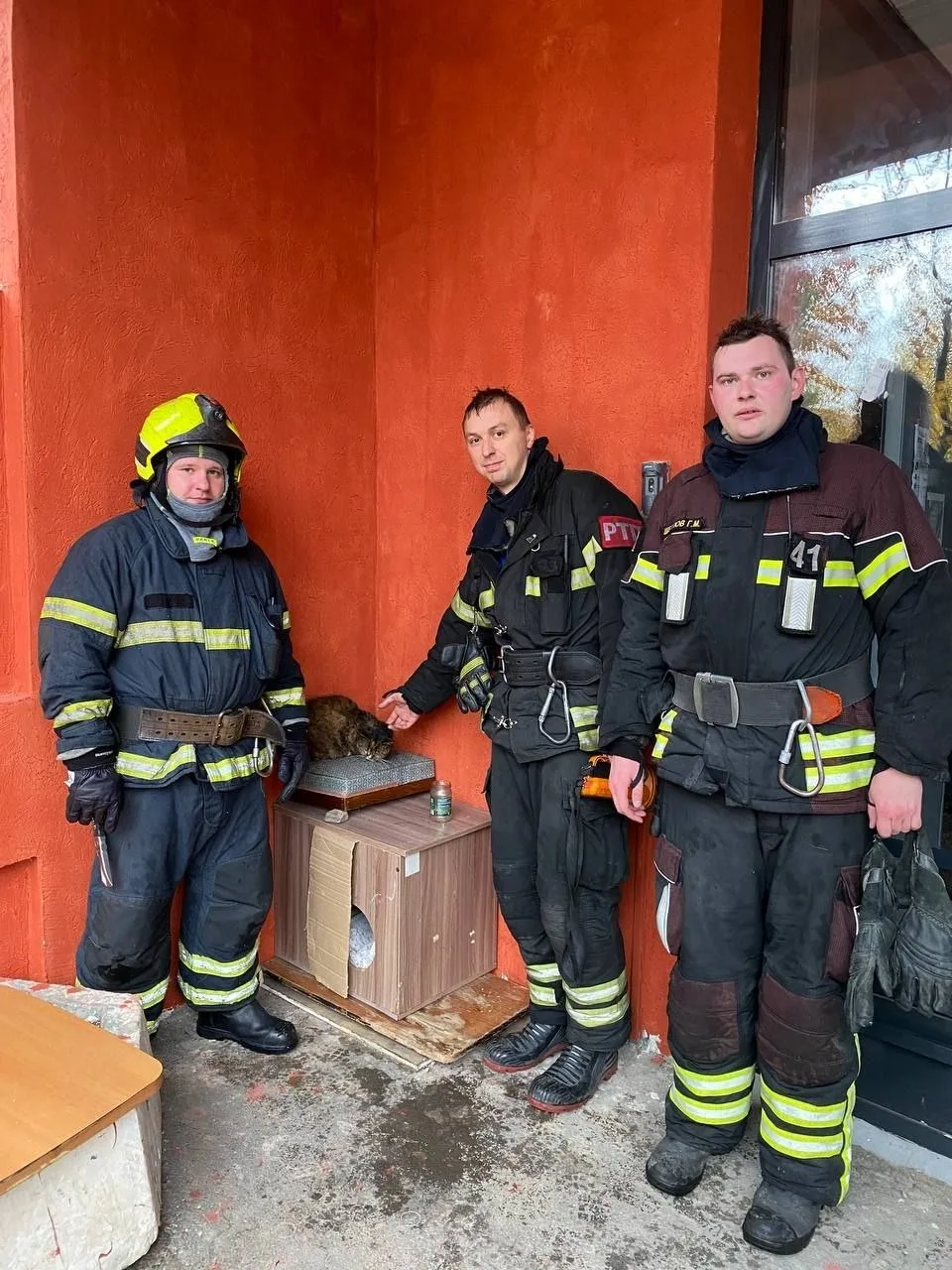 Чудесное спасение!