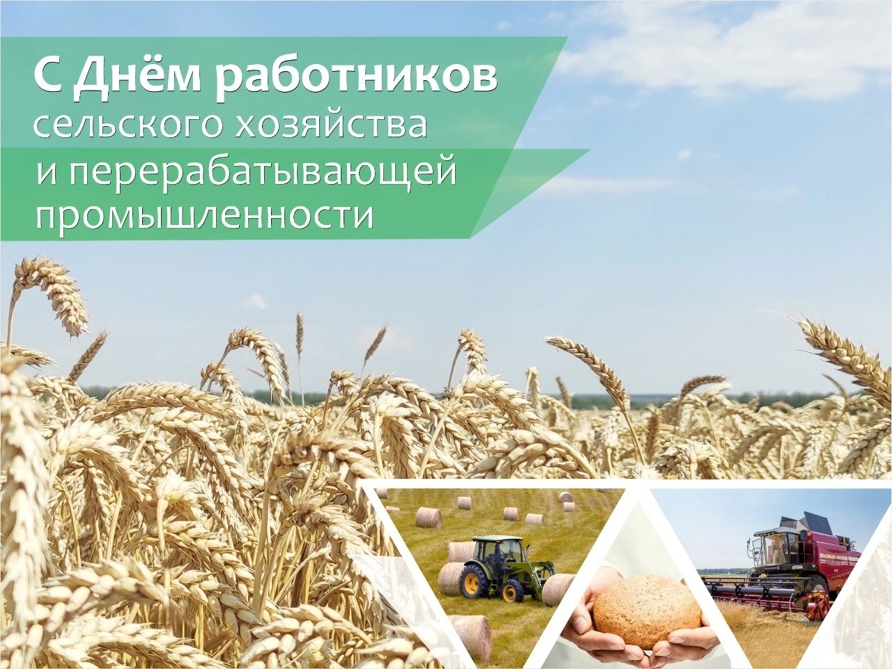 Уважаемые труженики села и работники перерабатывающей промышленности, ветераны сельскох...
