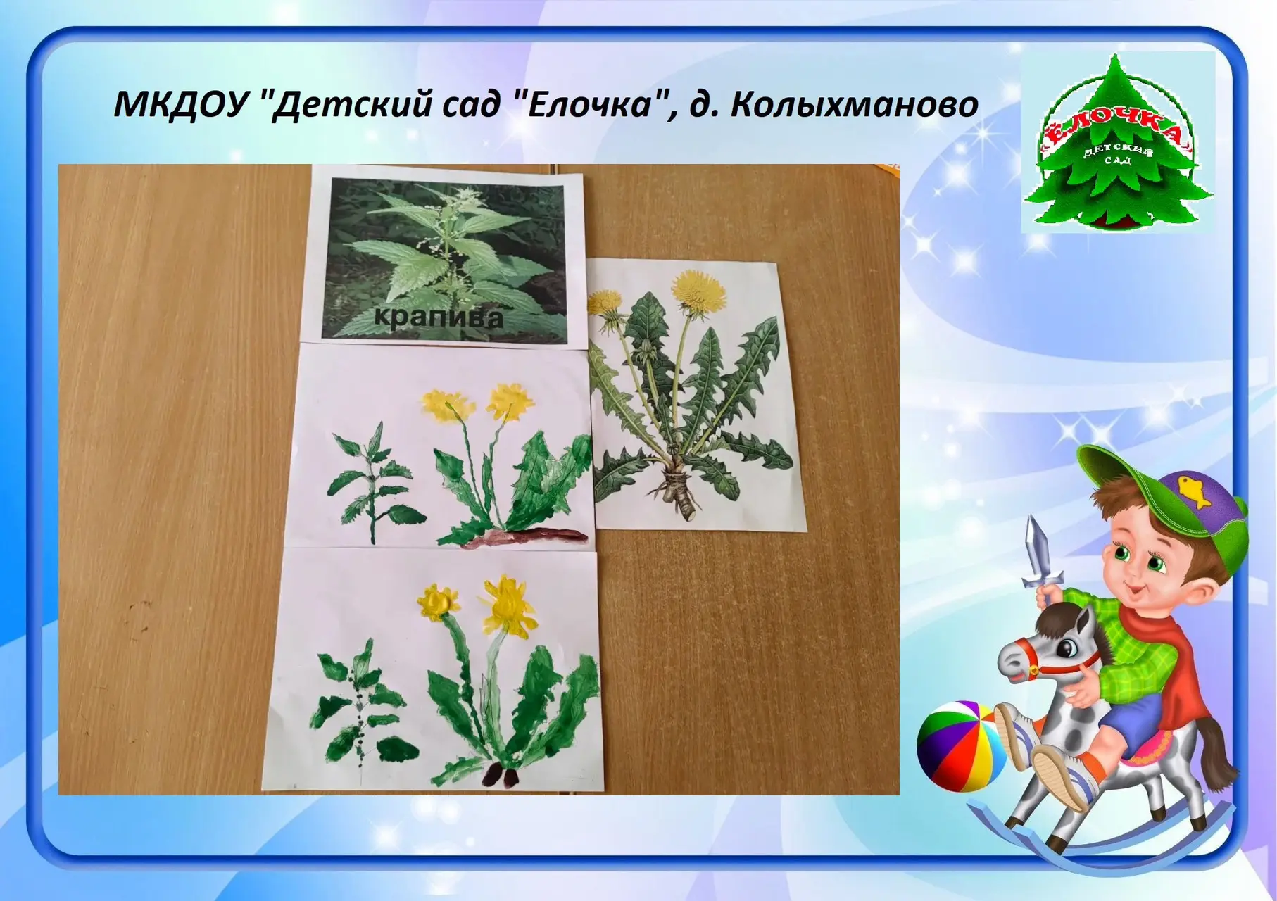 Сегодня дети из старшей группы познакомились с лекарственными растениями🍀