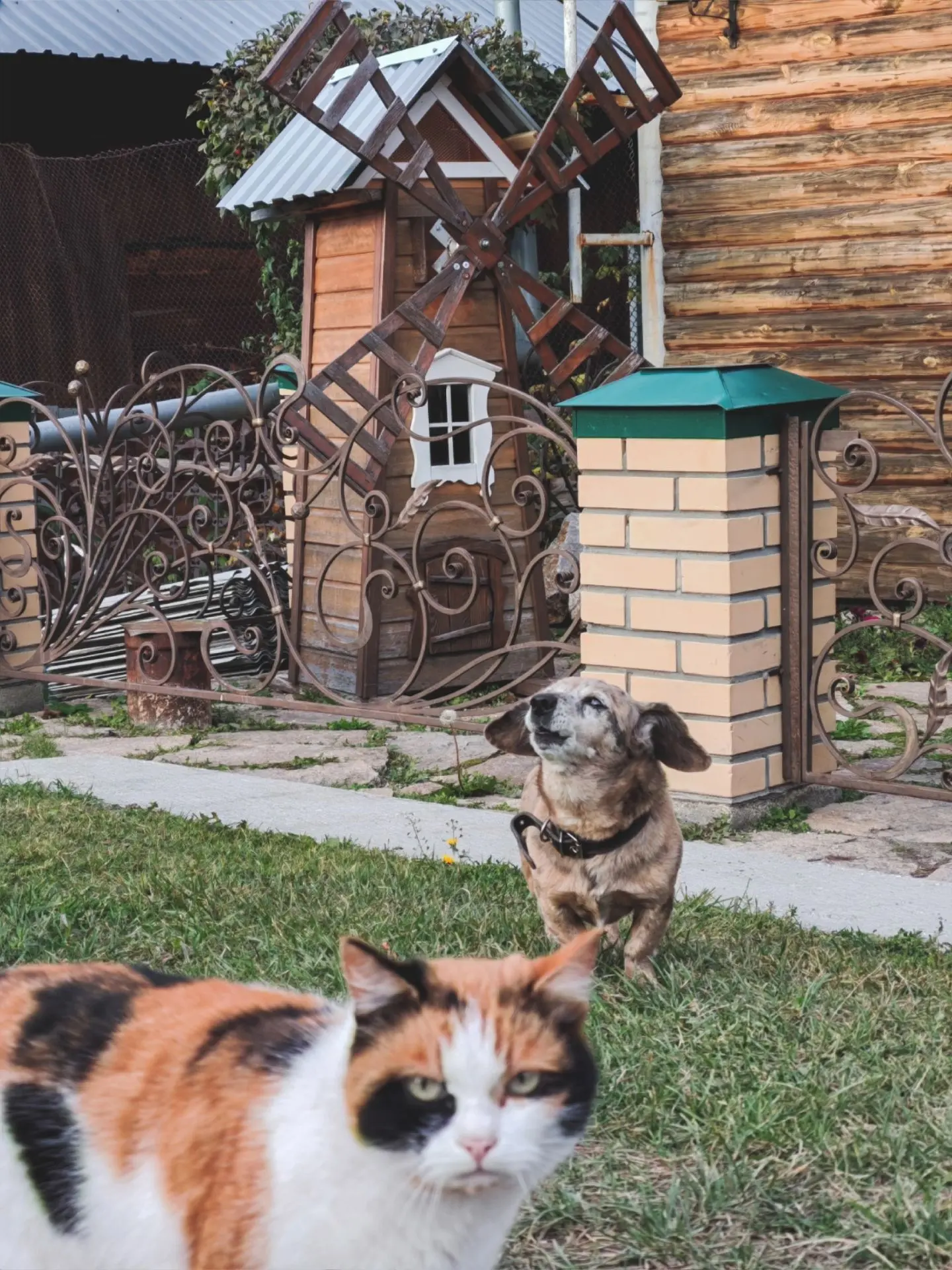 🏡 Вот такой чудесный дом есть на улице 8 Марта! И мельница, и деревянные скульптуры в ...