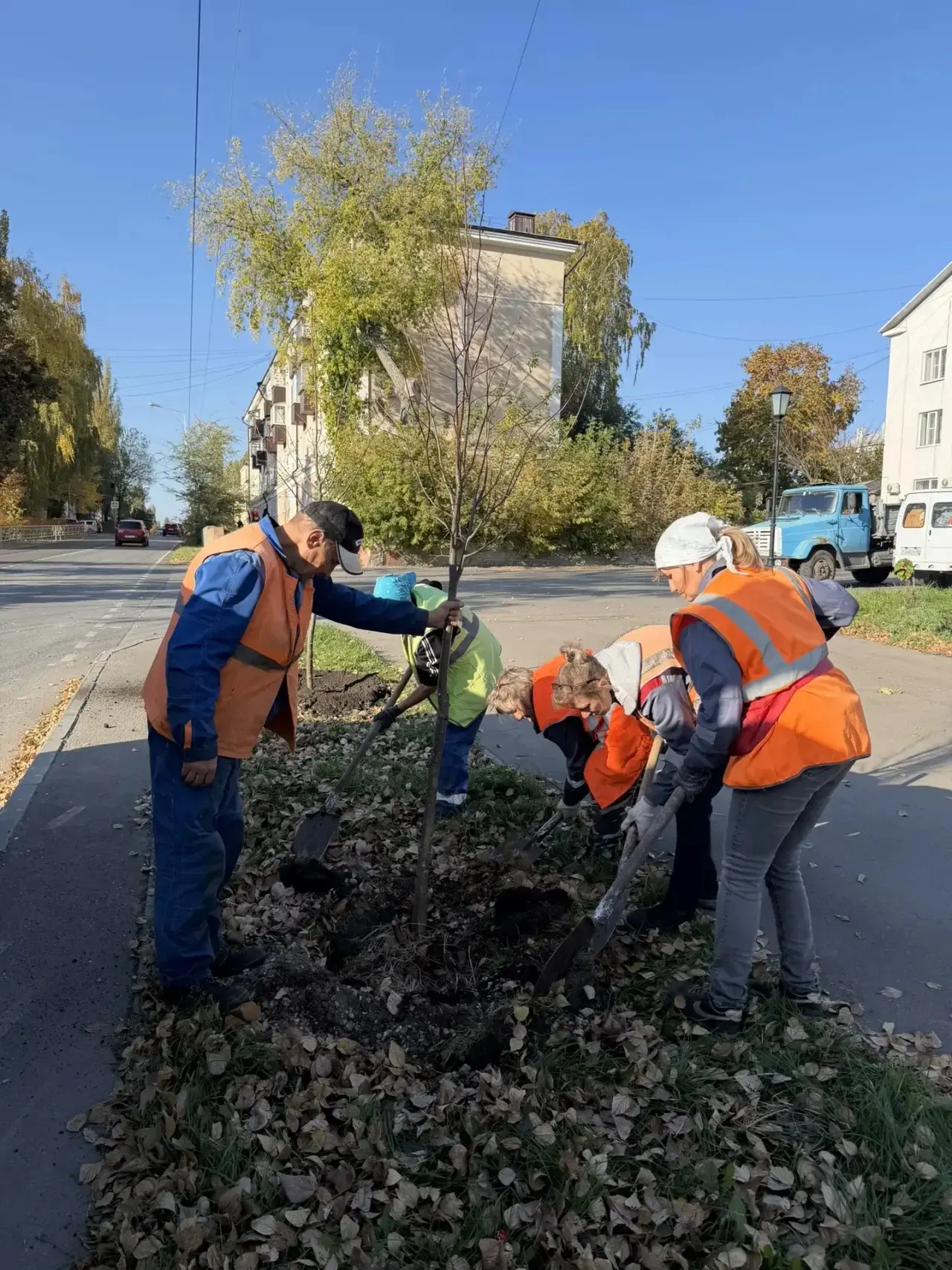 Этой осенью микрорайон Сокол украсят почти 100 новых деревьев🌳💫
