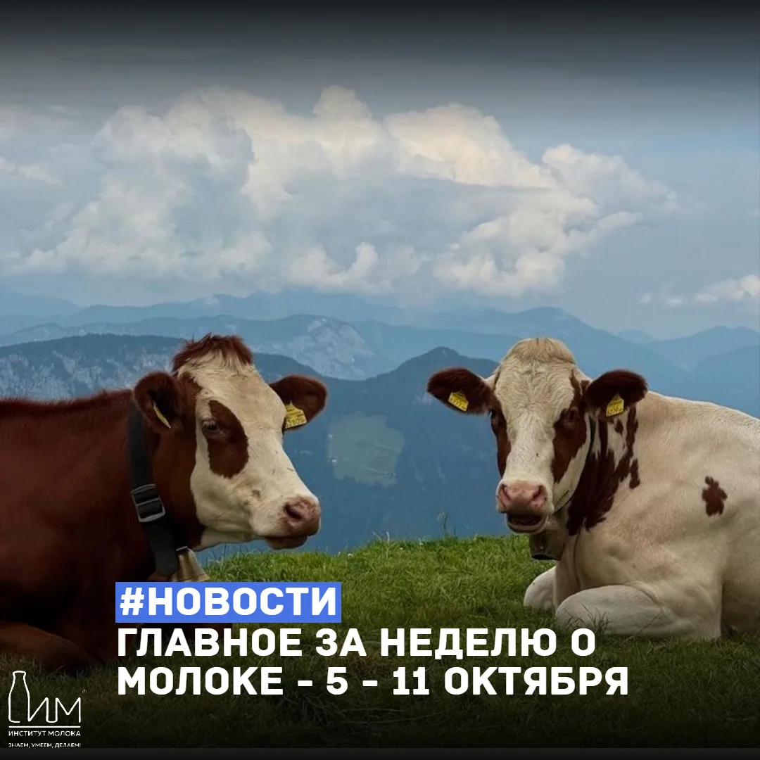 ⚡️ Главное за неделю о молоке: 5–11 октября 2026