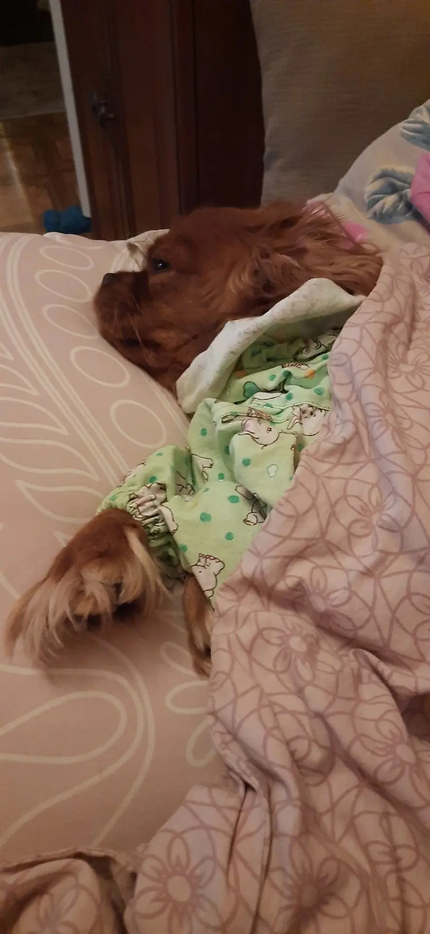 Всем спокойной ночи и приятных снов! 😴