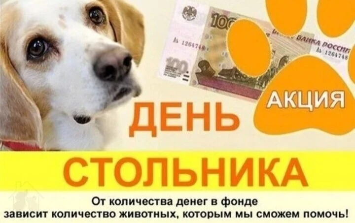 Сегодня решили сделать "День Стольника". До каникул осталось 2 недели, а это очень мало...