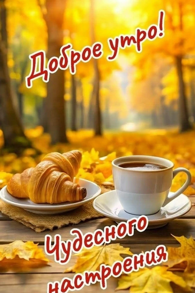 Доброе утро, дорогие!