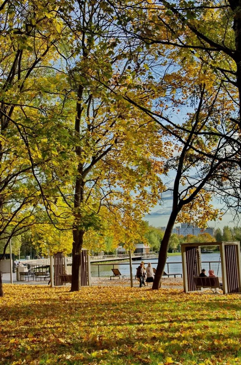 Увядающее золото Ангарских прудов 🍂