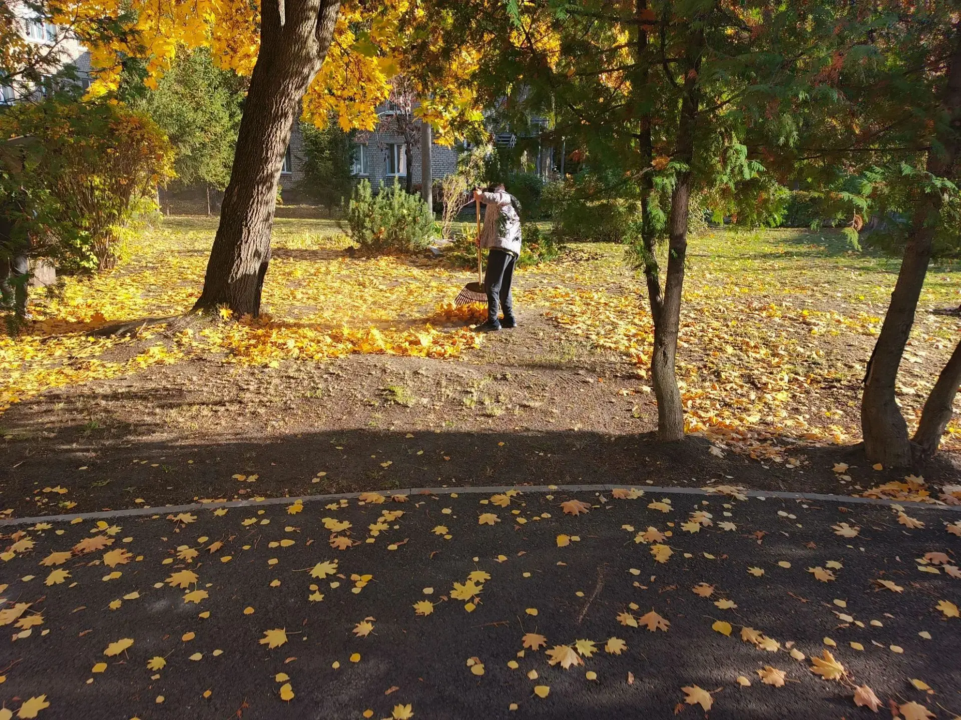 Никто, кроме нас
