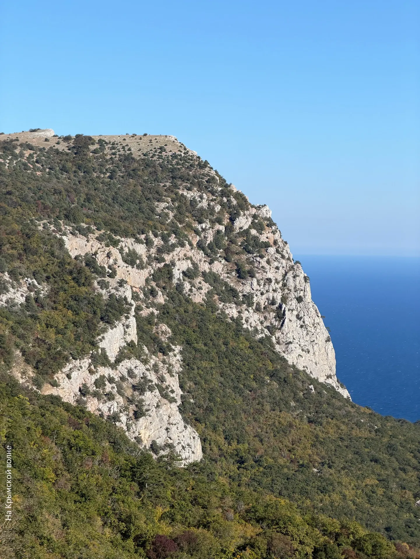 ⛰️ Живописные виды со смотровой площадки «Байдарские ворота».