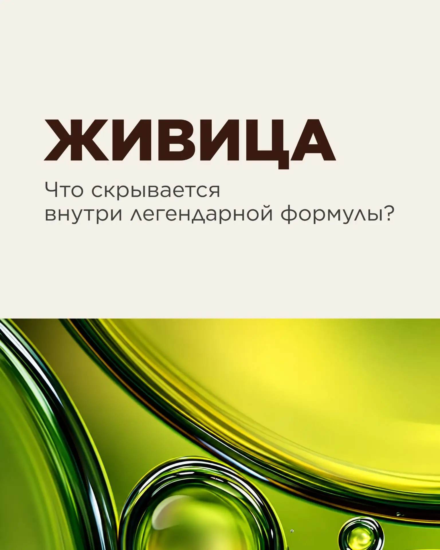 🌲 Представьте кедровый лес: высокие деревья, прохладный воздух, хвойный аромат и смоли...