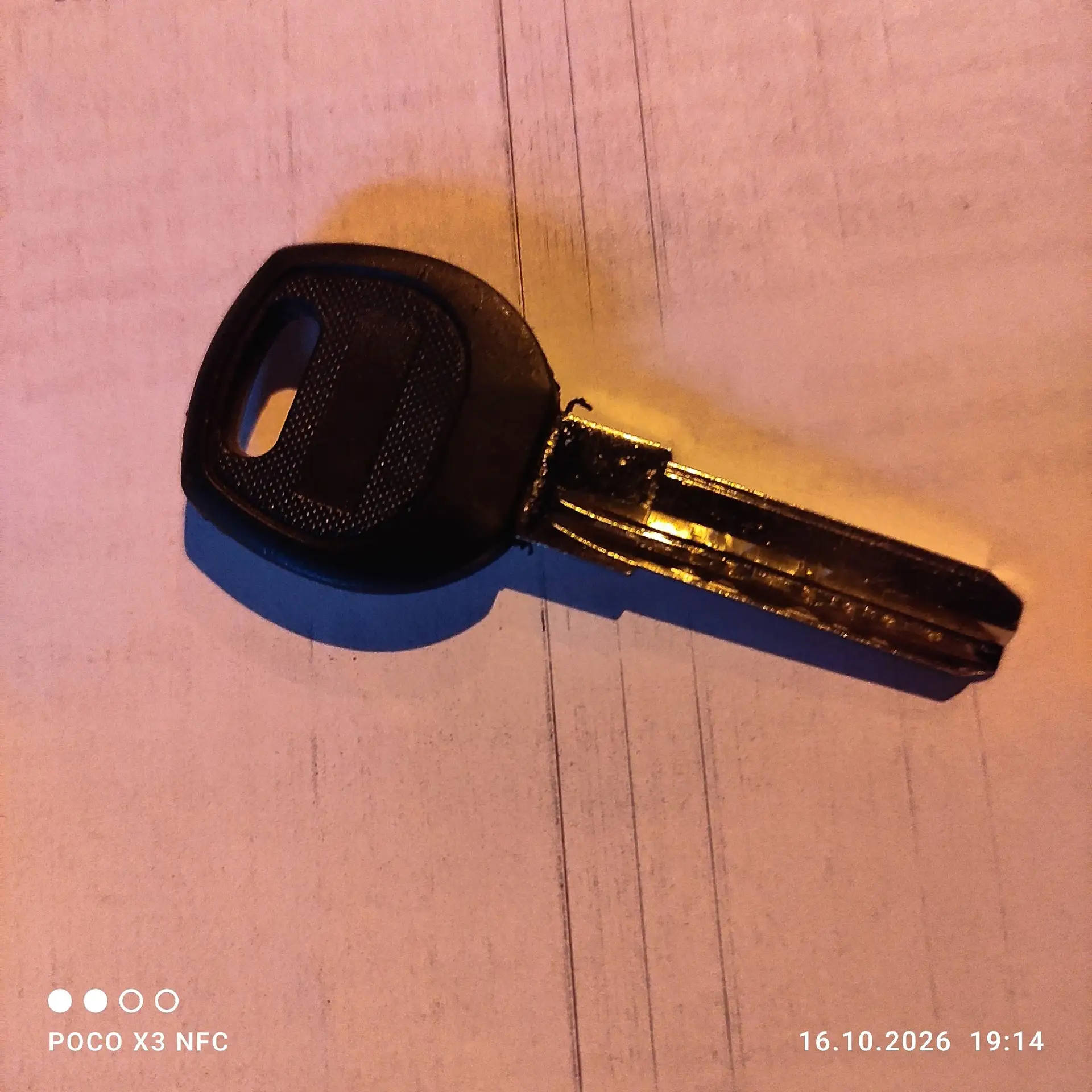 🔑 Чья потеряшка у 3-го подъезда Моторостроителей 11?