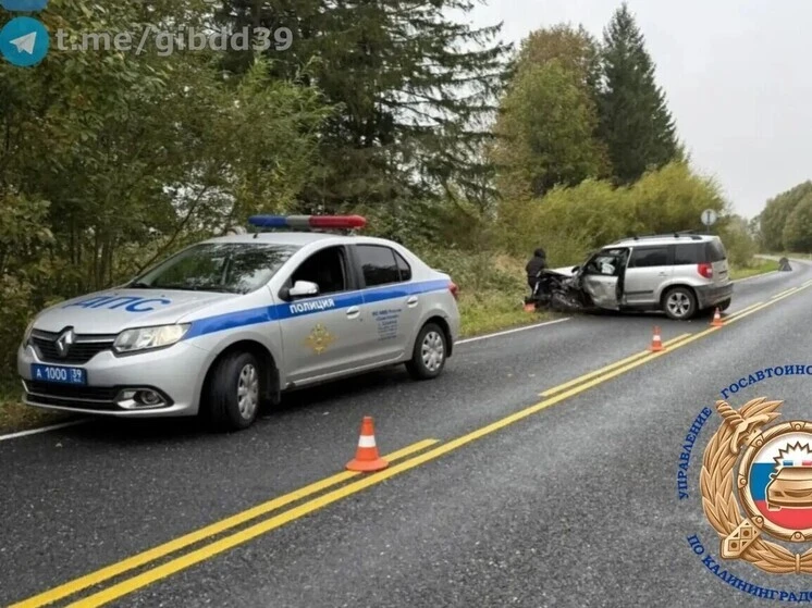 ❗ Две иномарки столкнулись на трассе: водитель и ребенок пострадали