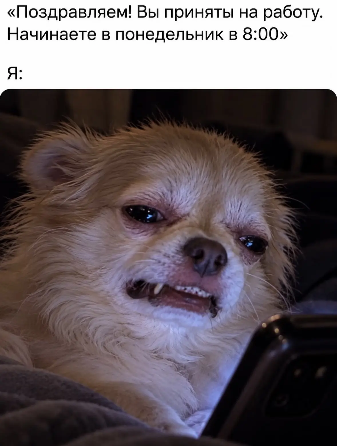 .