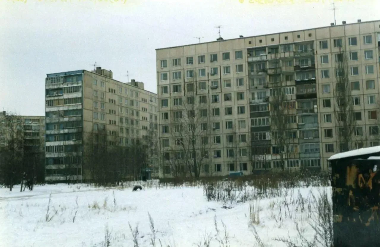 Улица Подвойского 48 корп. 2. Тополя-свечи