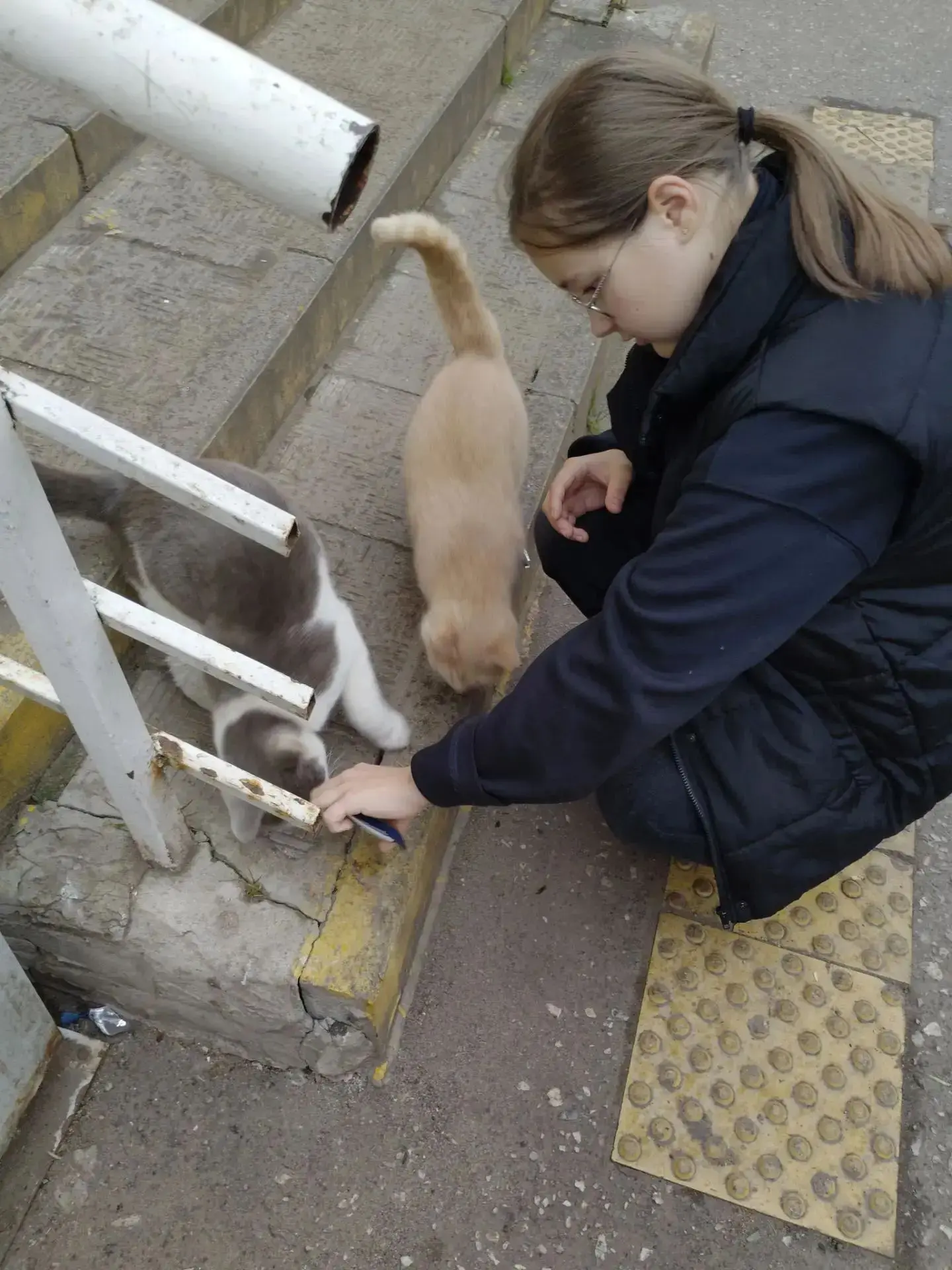 🐾 Осеннее тепло: помогаем тем, кто ждёт свою семью!