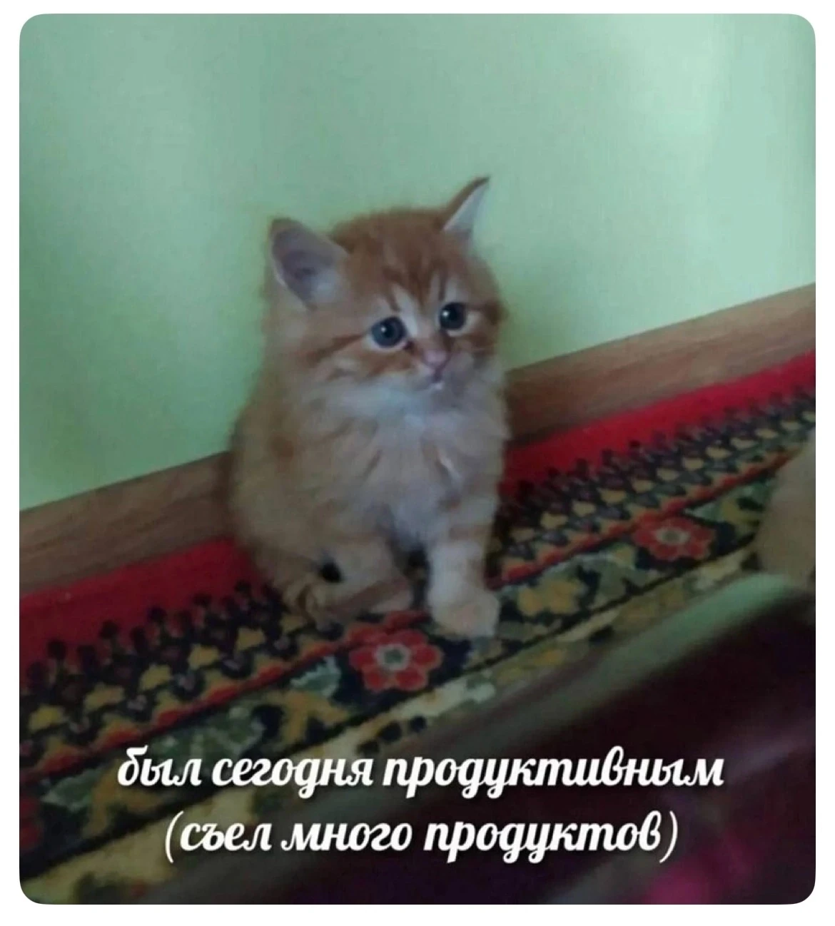 Ну прям про меня🤣🤣🤣